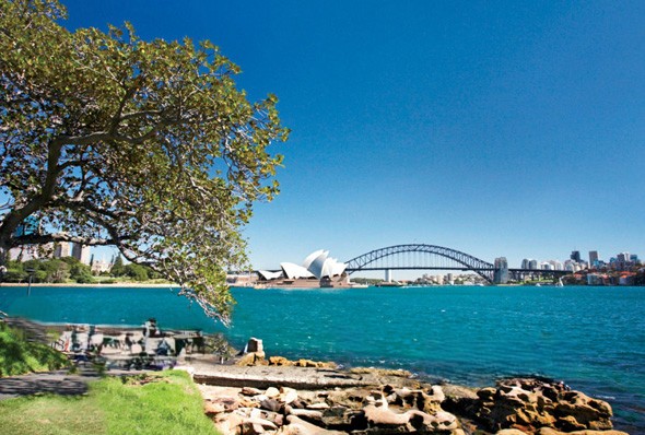 Mrs Macquarie Chair